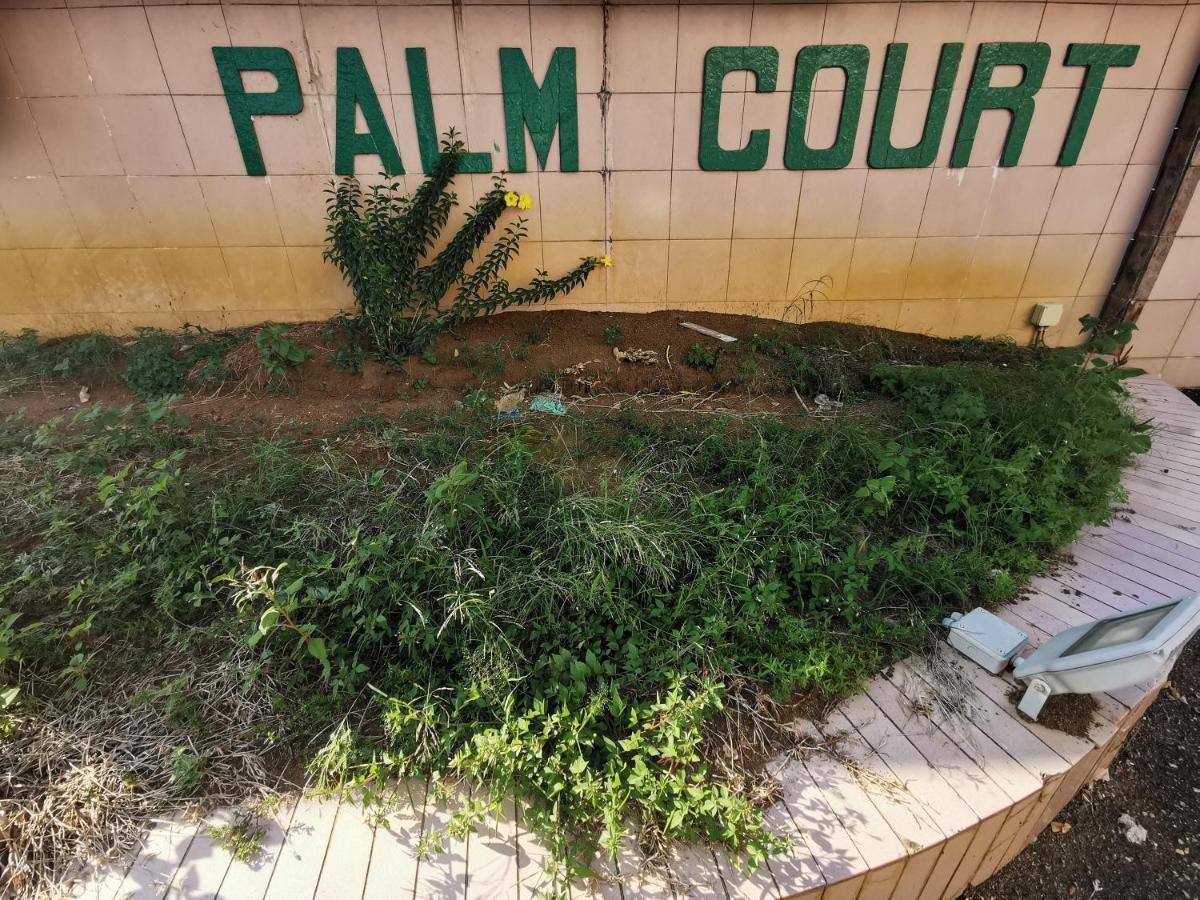 Diy Palm Court Bedroom Kuantan Ngoại thất bức ảnh